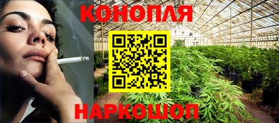 шишки Будённовск