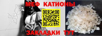 шишки Будённовск