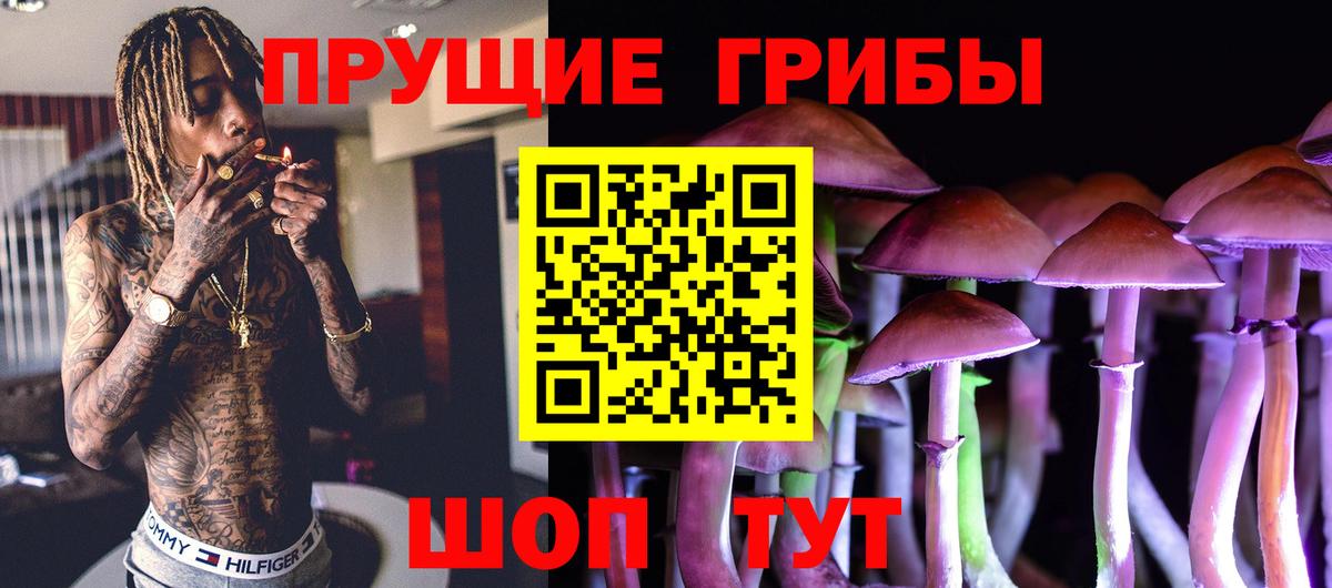 Псилоцибиновые грибы Psilocybe Лабинск
